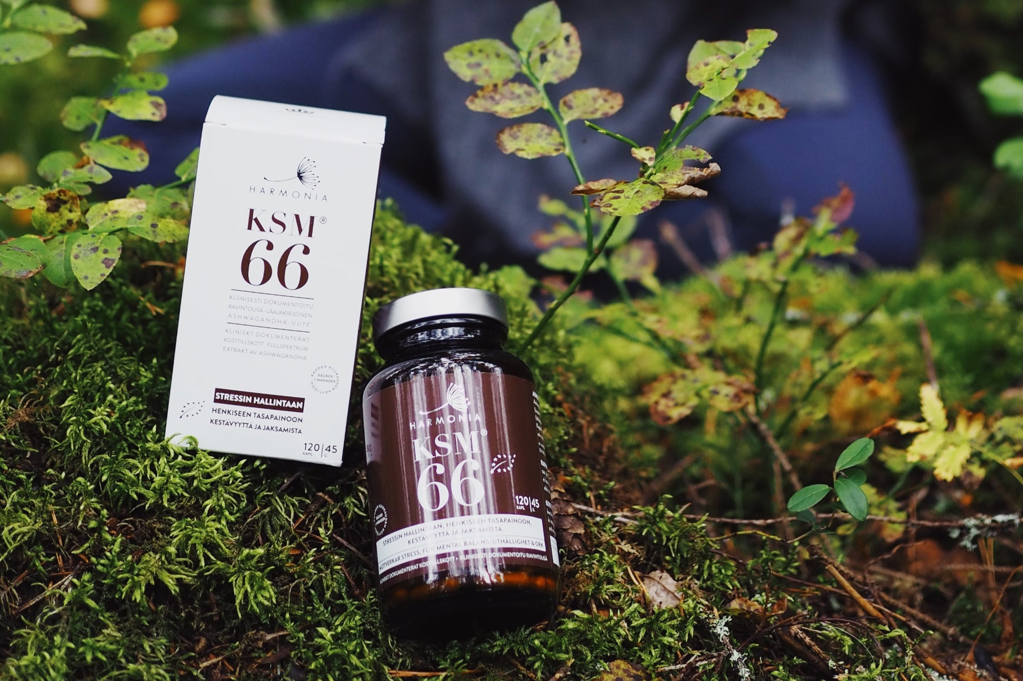 Kokemuksia KSM66-ashwagandhan käytöstä