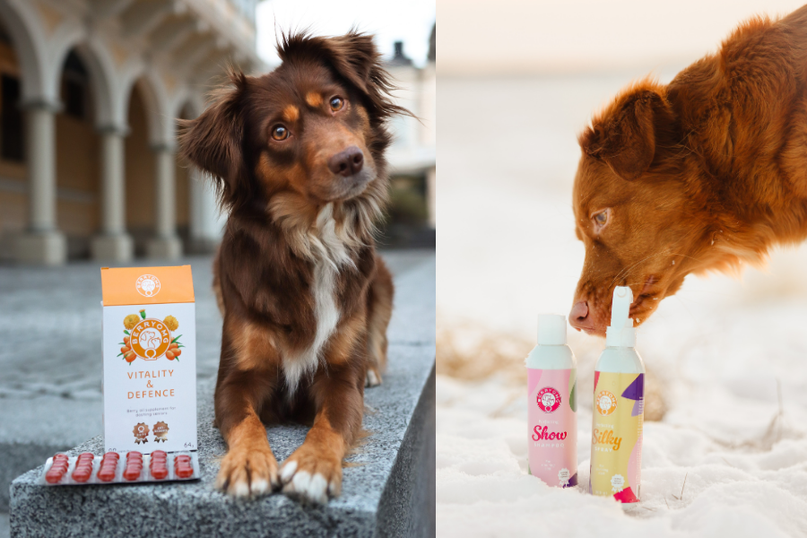 BERRYOMG valmistaa tuotteita marjaöljyistä lemmikin hyvinvoinnin tueksi