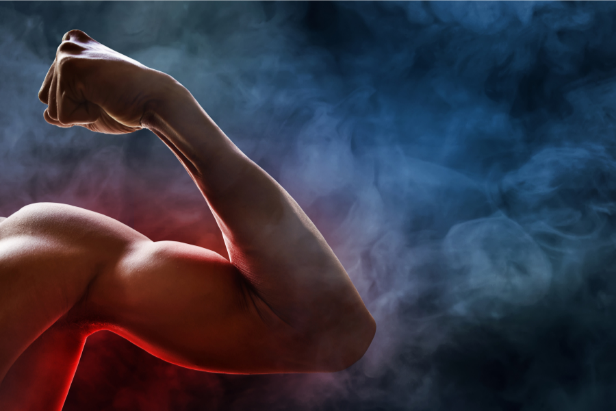 Kreatiini, kattava opas tehosta lihaksille, palautumiseen ja harjoitteluun