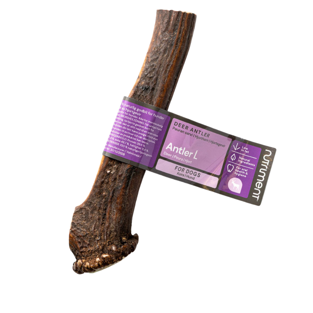 Nutriment Antler Peuransarvi koko L