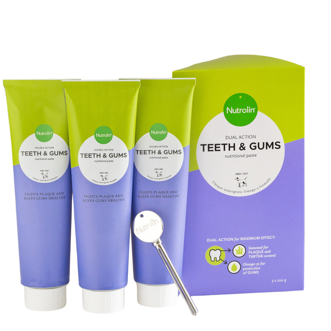 Nutrolin Teeth & Gums omegatahna, säästöpakkaus 600 g, 3x200g tuubia, sinunapteekki.fi