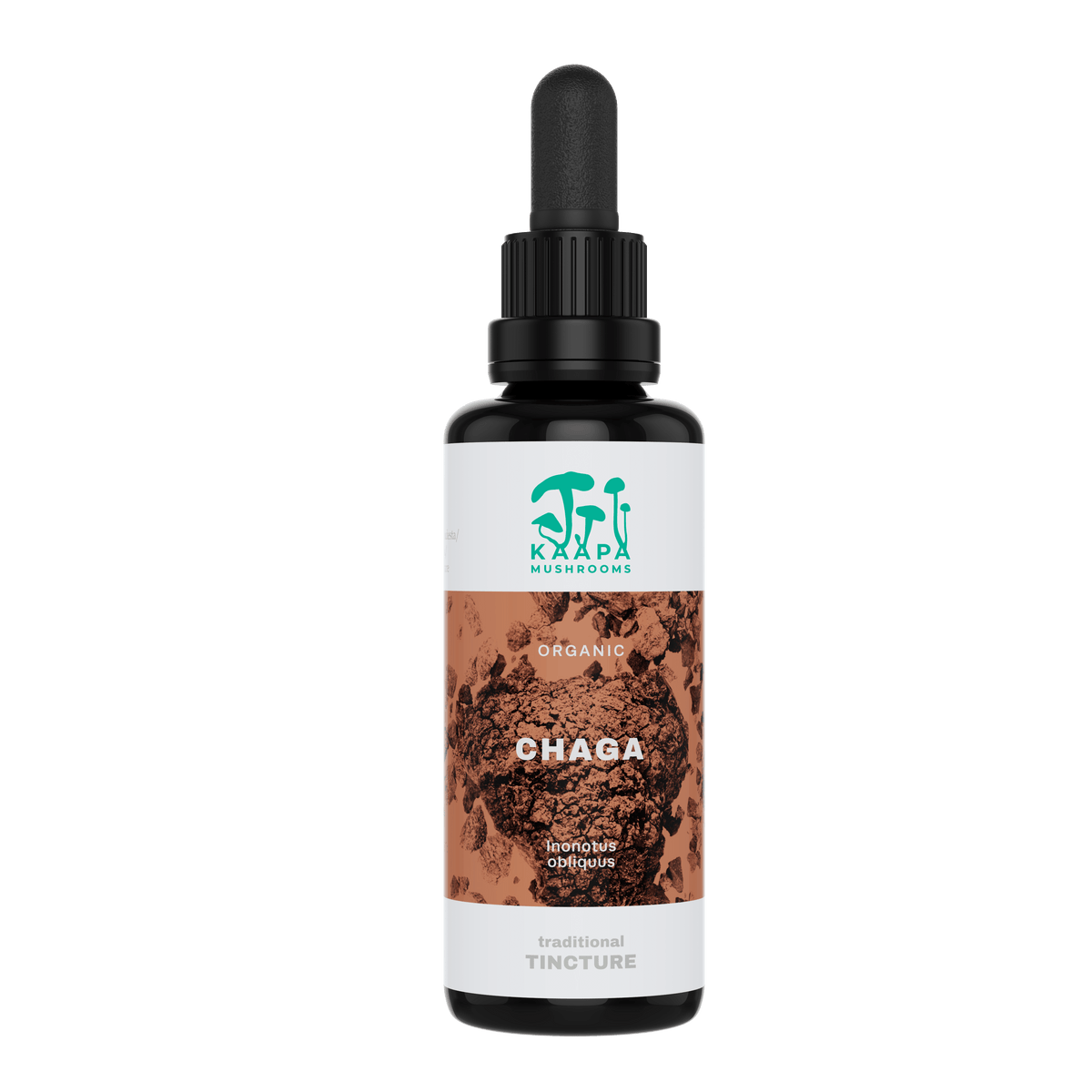KÄÄPÄ Mushrooms Chaga Tinktuura 30 ml - poistuu