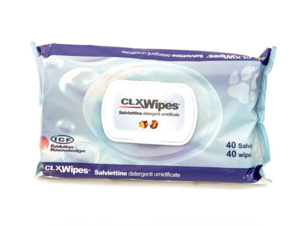 CLX Wipes Pocket - Kosteat puhdistuspyyhkeet 20 kpl - Sinunapteekki.fi