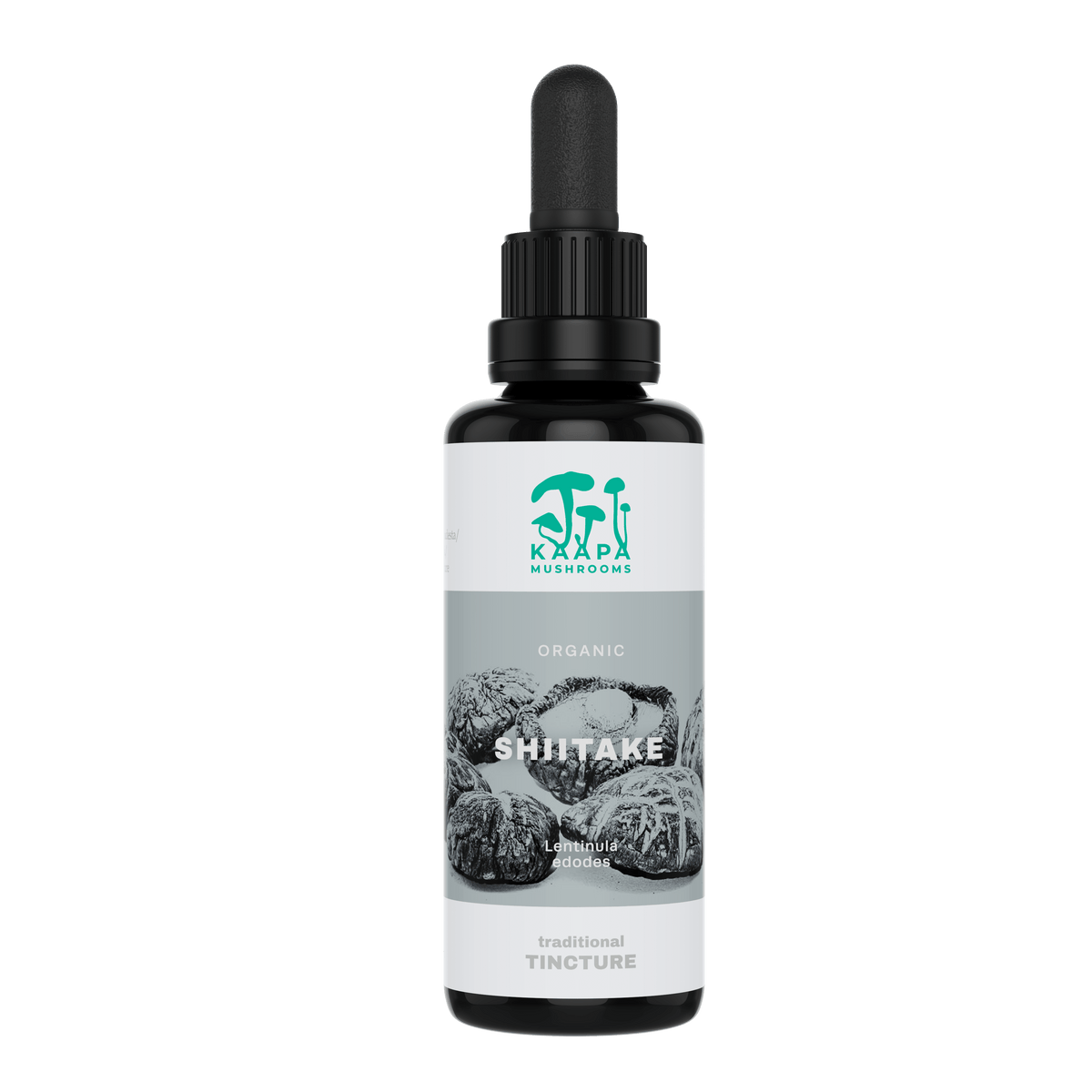 KÄÄPÄ Mushrooms Shiitake Tinktuura 30 ml - poistuu