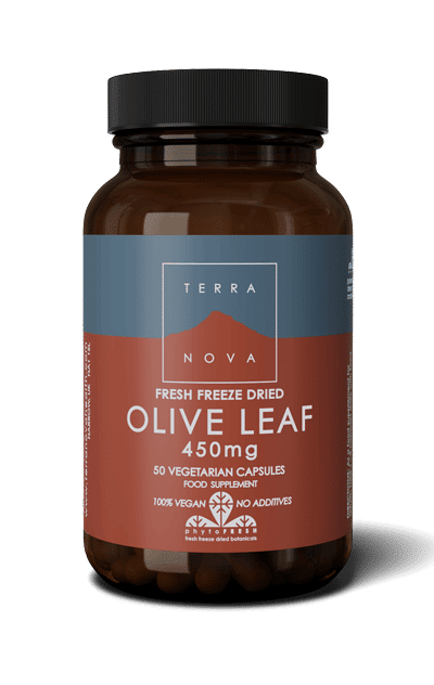 Terranova Olive Leaf 450 mg - Oliivinlehti 50 kaps.