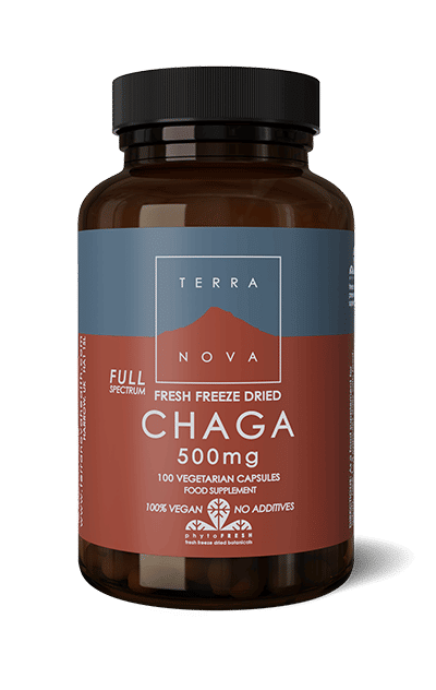 Terranova Chaga Full Spectrum 500 mg - Pakurikääpä 50 kaps.