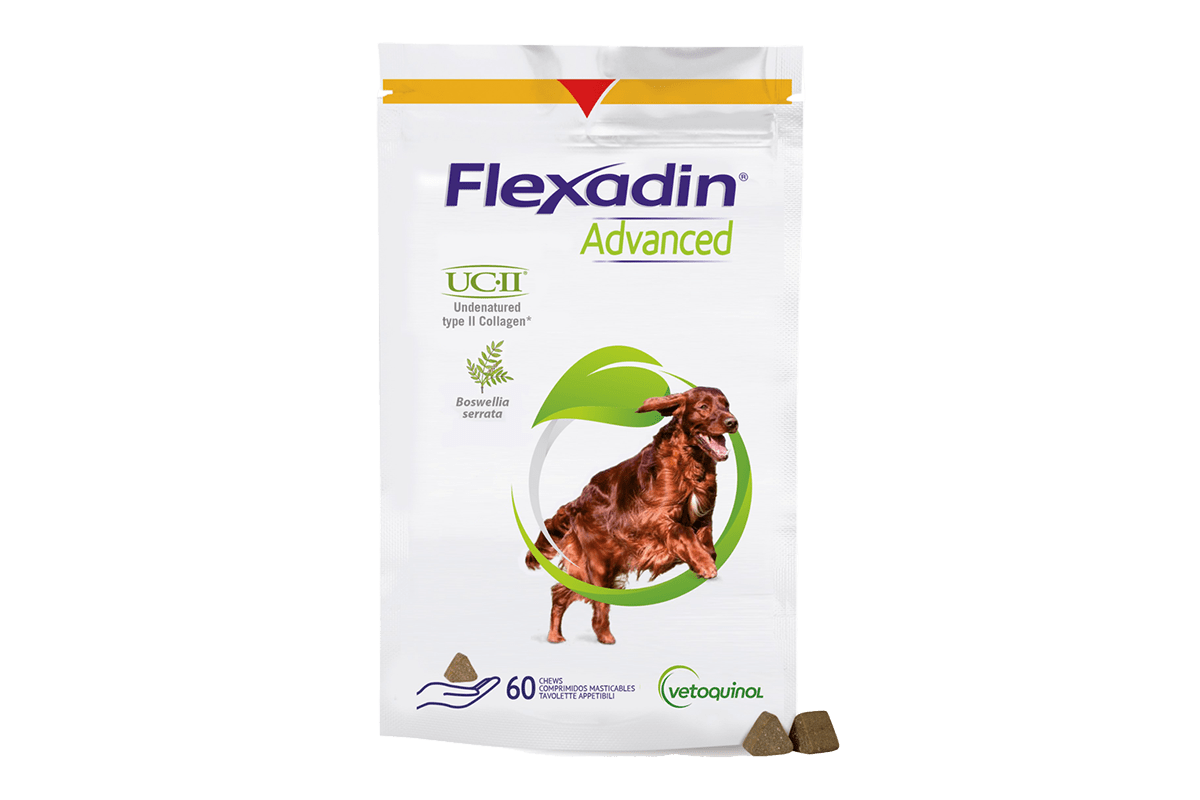 Flexadin Advanced 60 purutablettia koirille - Sinunapteekki.fi