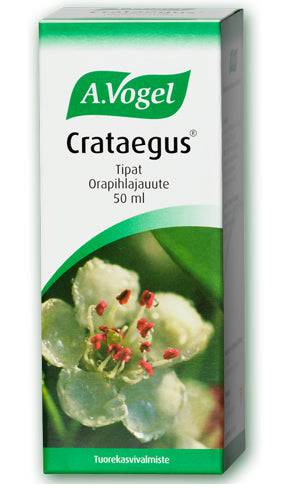 A.Vogel Crataegus - Orapihlajauute 50 ml - Sinunapteekki.fi