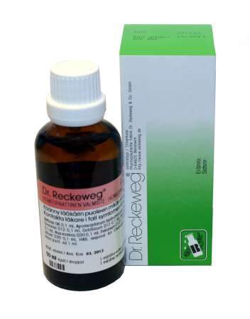 DR RECKEWEG R13 H331FI - Sinunapteekki.fi