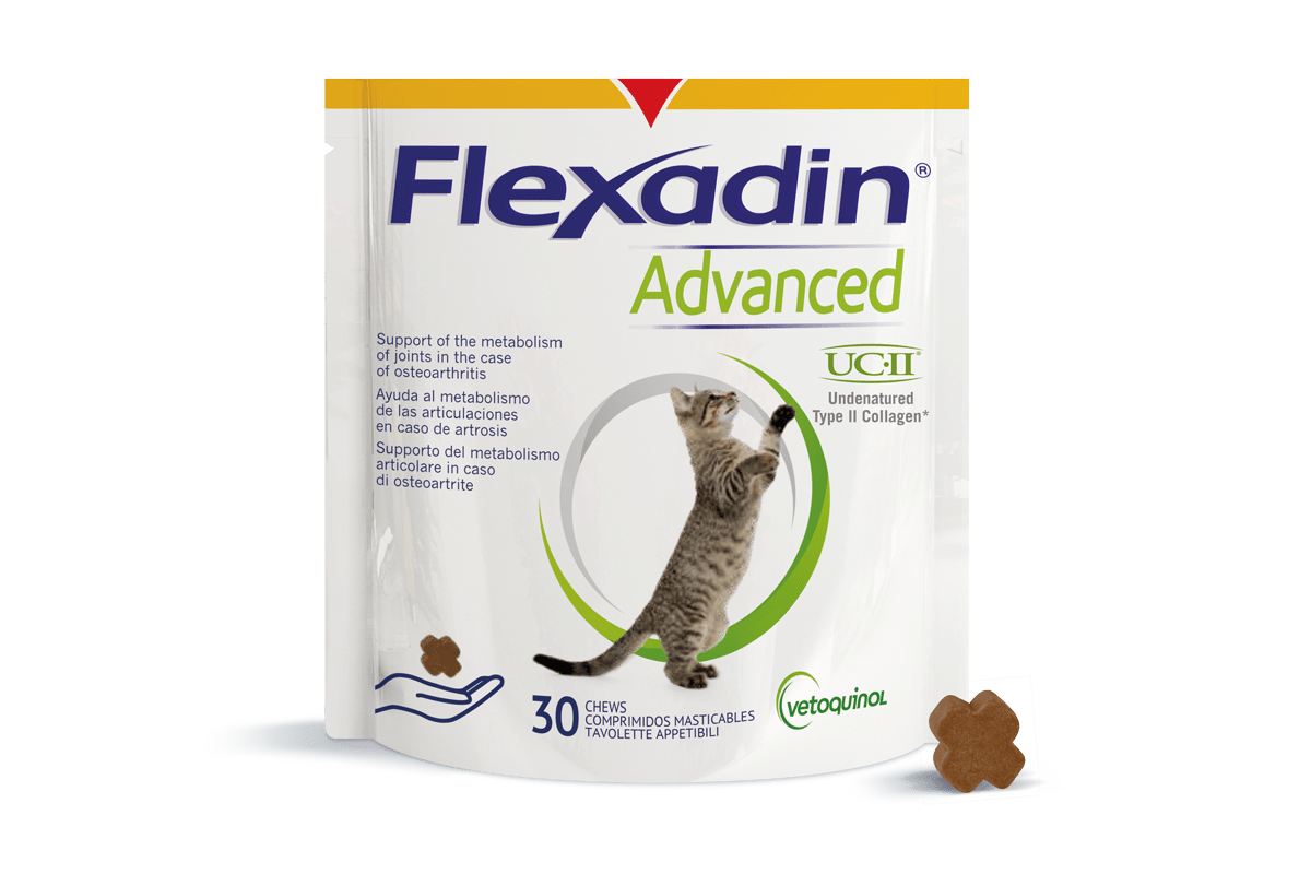 Flexadin Advanced - Kissoille 30 purutabl. - erä