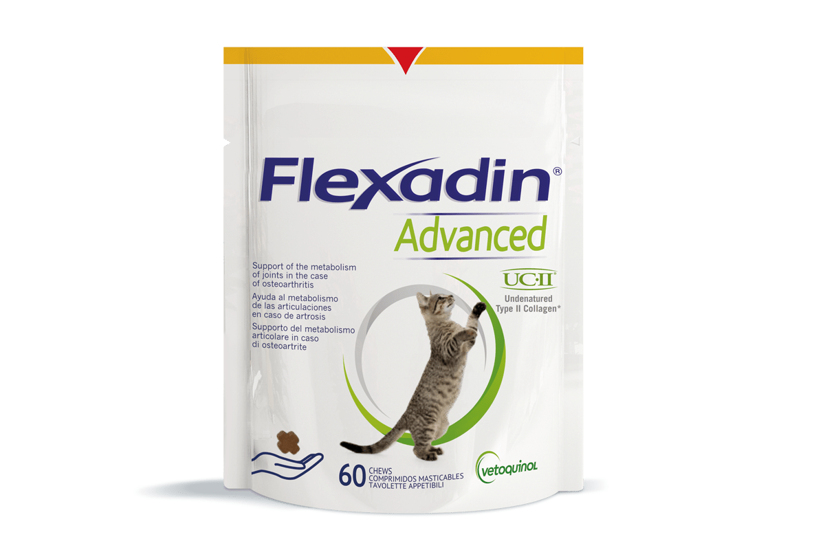 Flexadin Advanced - Kissoille 60 purutabl. - Päiväys 01/2024
