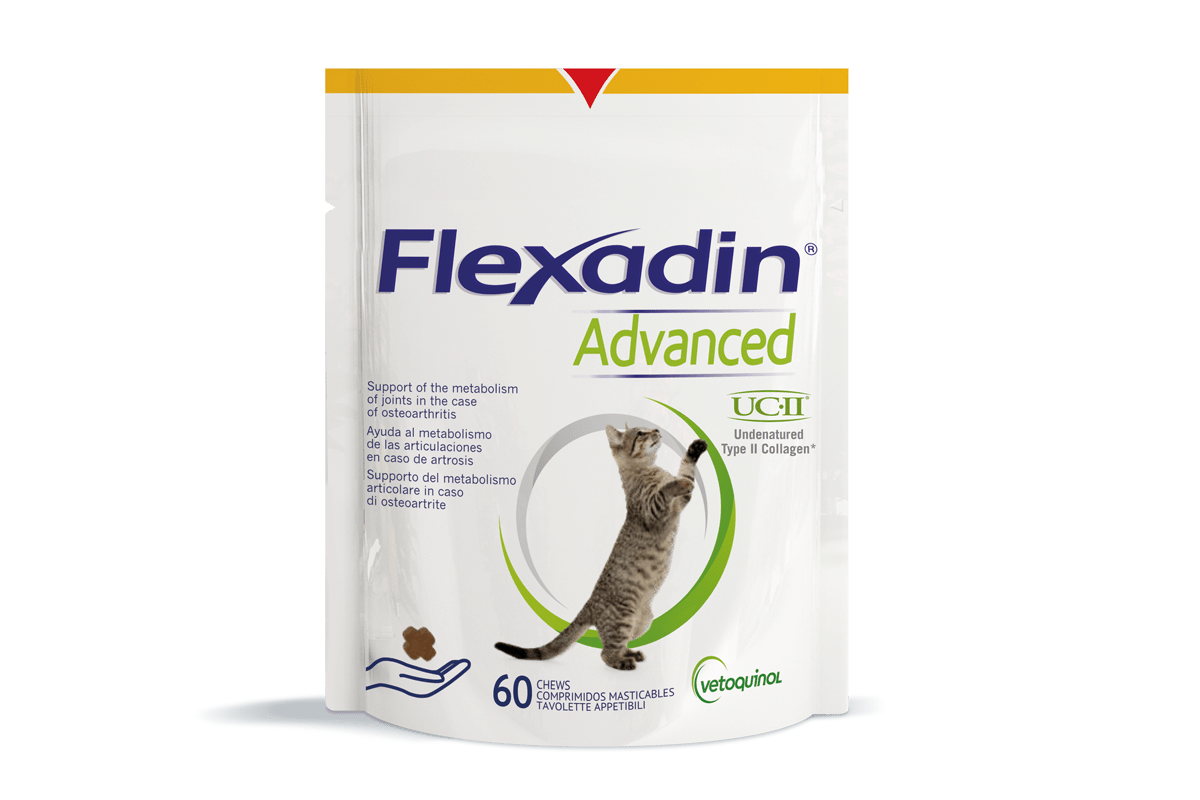 Flexadin Advanced - Kissoille 60 purutabl.