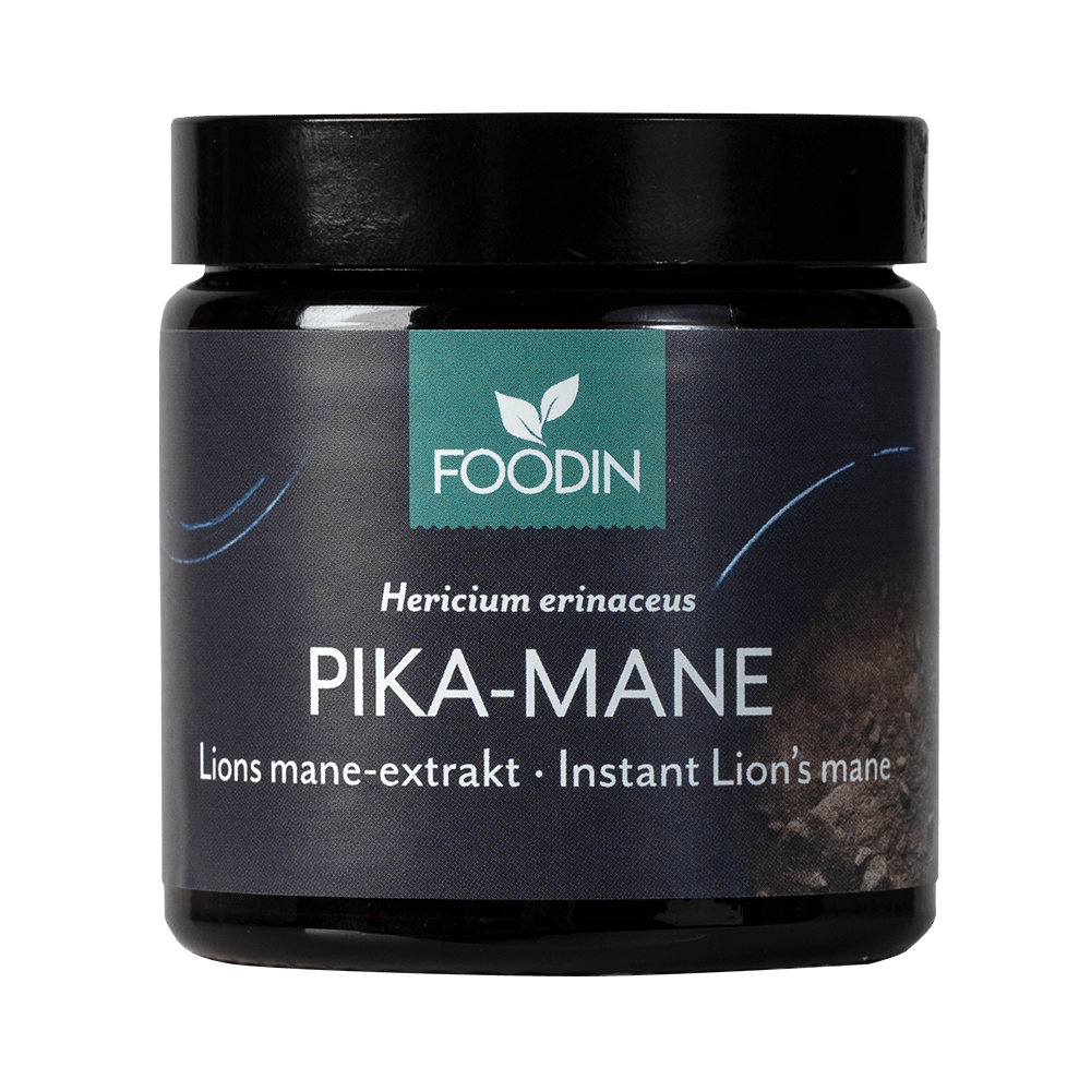 Foodin Pika-Mane 40 g - Sinunapteekki.fi