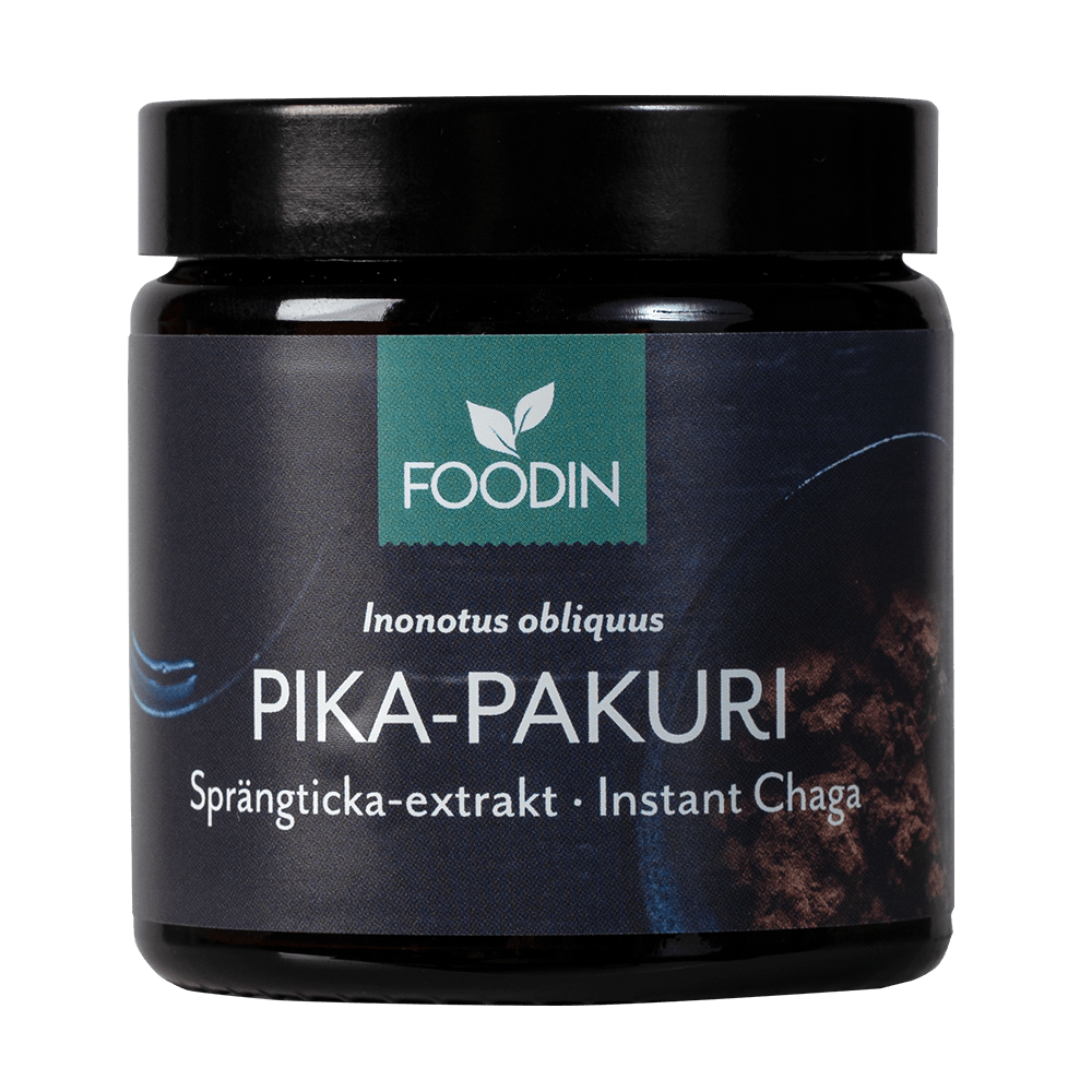 Foodin Pika-Pakuri 40 g