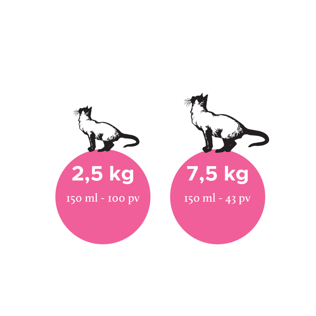 Nutrolin Cat Senior 150 ml, annostus