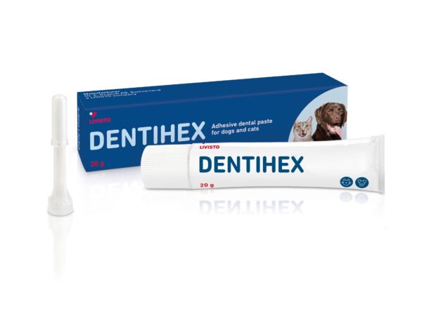 Dentihex - Kiinnittyvä hammasgeeli koirille ja kissoille 20 g