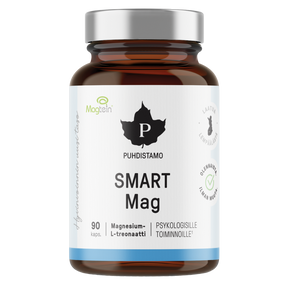 Puhdistamo Smart Mag - Magnesium-L-treonaatti 90 kaps.