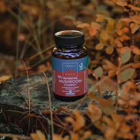 Terranova Full Spectrum Mushroom Synergy - Sieni-kasvivalmiste 50 kaps.