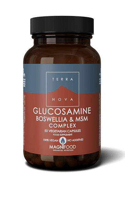 Terranova Glucosamine Boswellia & MSM Complex 50 kaps.